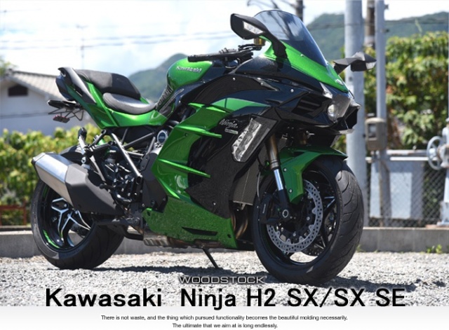 Ninja H2 SX/SX SE (18-)/SXSE+ | Kawasaki | ウッドストック